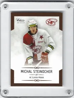 Stejnocher Michal OFS Chance Liga 2018-19  č.83